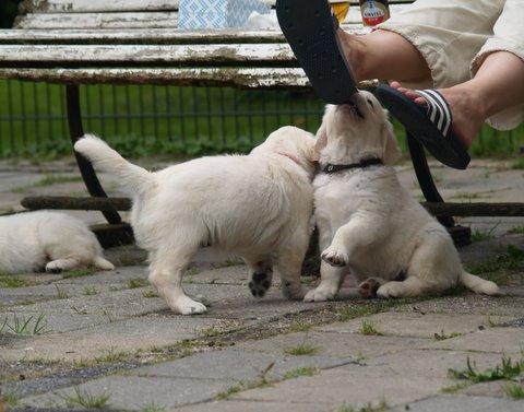 Dit is de laatste foto